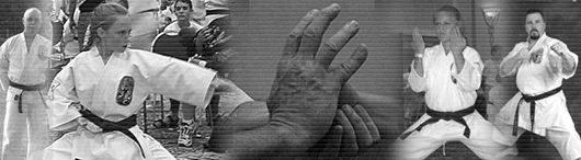 Pushard's Karate collage